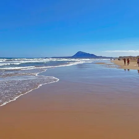 El Palmar Denia