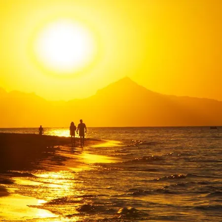 El Palmar * دينايا